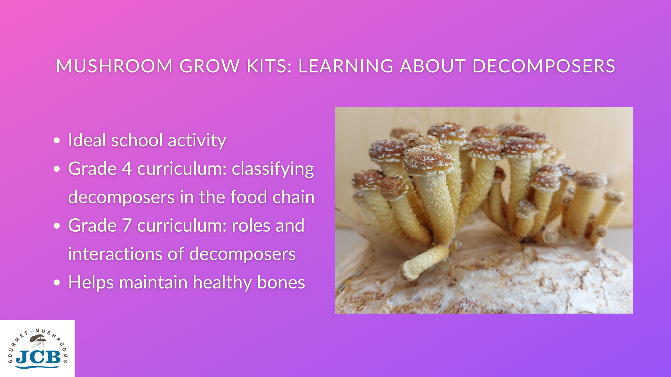 Mushroom Life Cycle Activity Kit – The Moments At Home