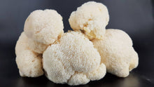 Load image into Gallery viewer, Lions Mane Mushrooms
