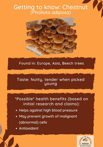 Getting to know: Chestnut mushrooms