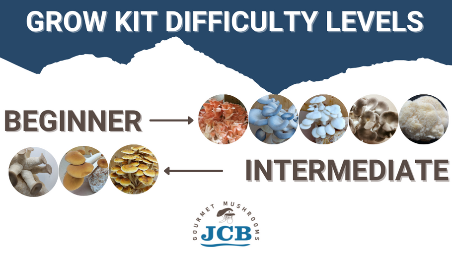 Grow kit difficulty levels represent time, steps, and flexibility