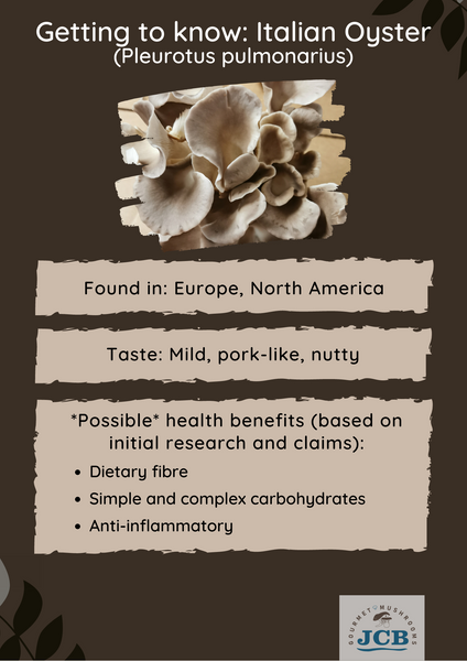 Getting to know: Italian Oyster mushrooms