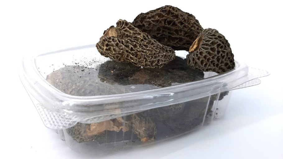 Dried Morel mushrooms available for a limited time