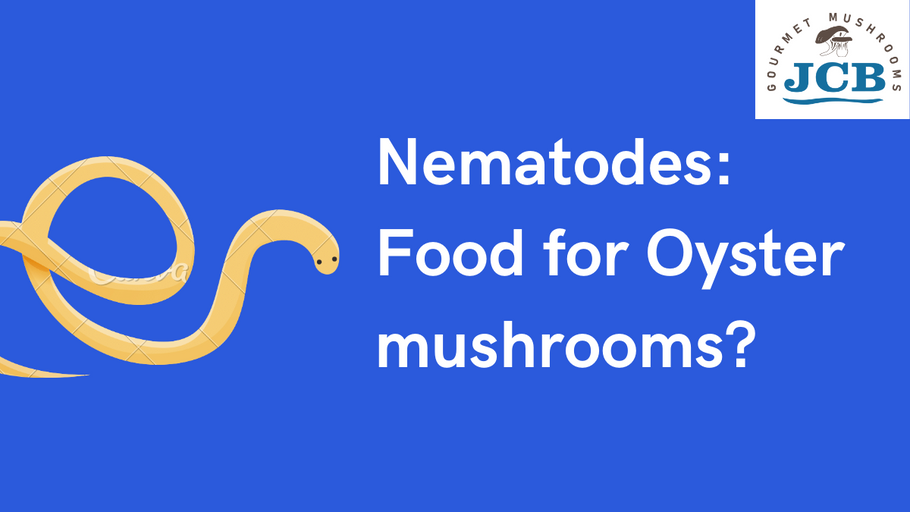 Oyster mushrooms shrink, paralyze nematode heads in the wild