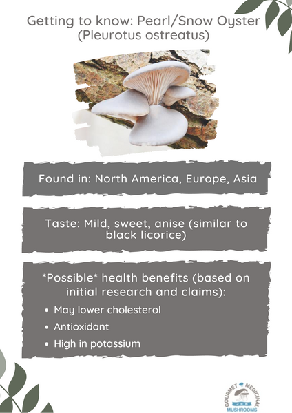 Getting to know: Pearl Oyster Mushrooms
