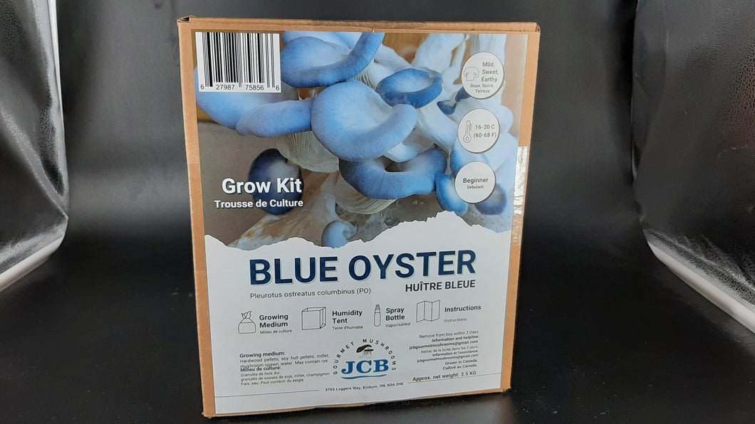 Pre-Order Blue Oyster Mushroom Grow Kits