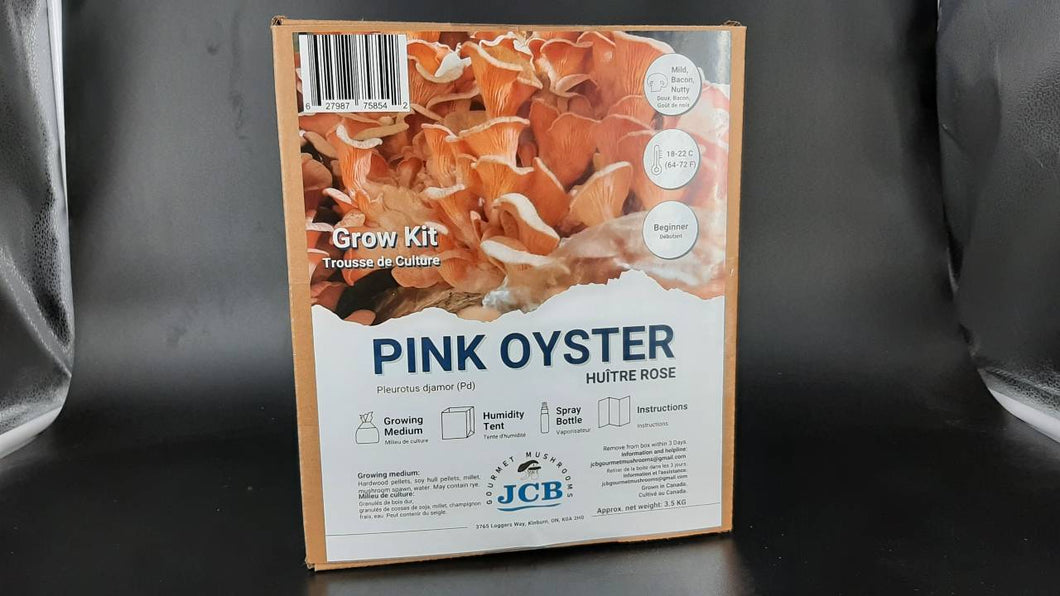 Pink Oyster Grow kit